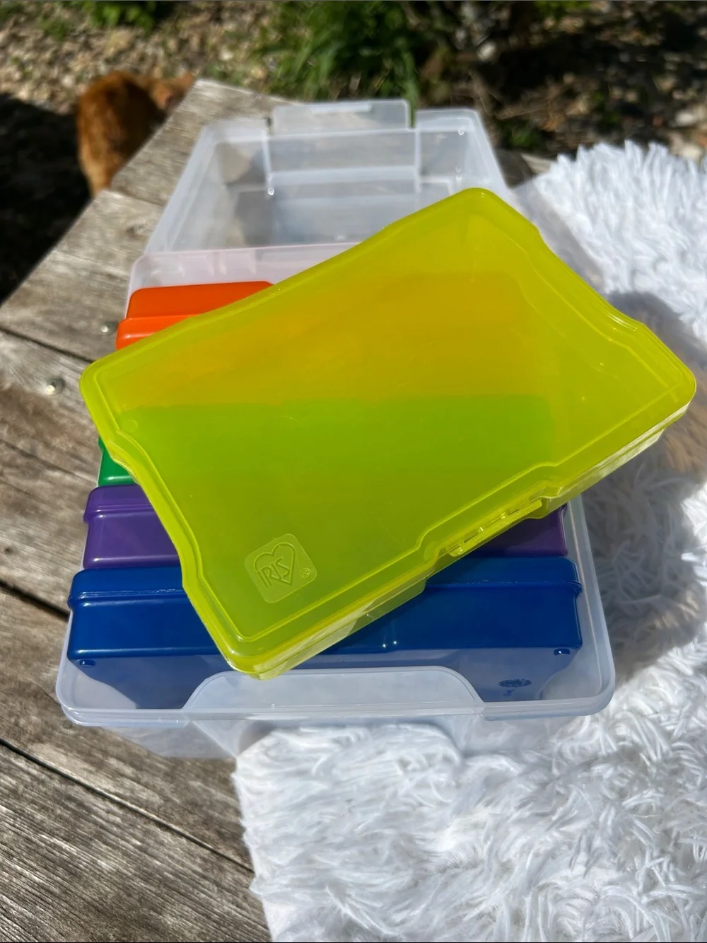IRIS 4 x 6 Inch Photo Storage Box with 6 Colored Inner Cases (7 Pieces)